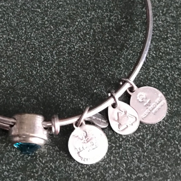 Alex and Ani Expandable Wire Bracelet - Picture 14 of 16